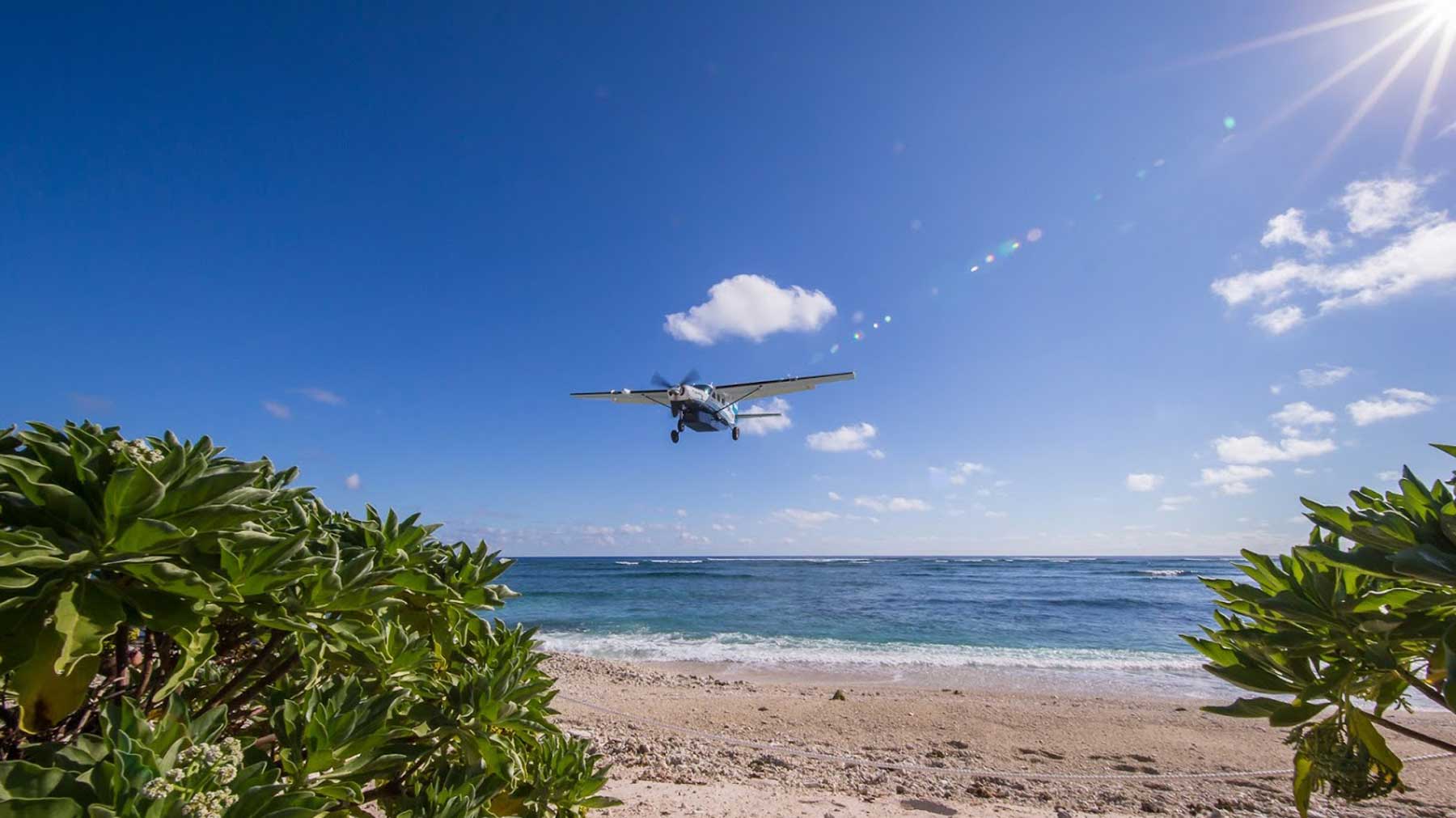 Lady Elliot Island Resort.