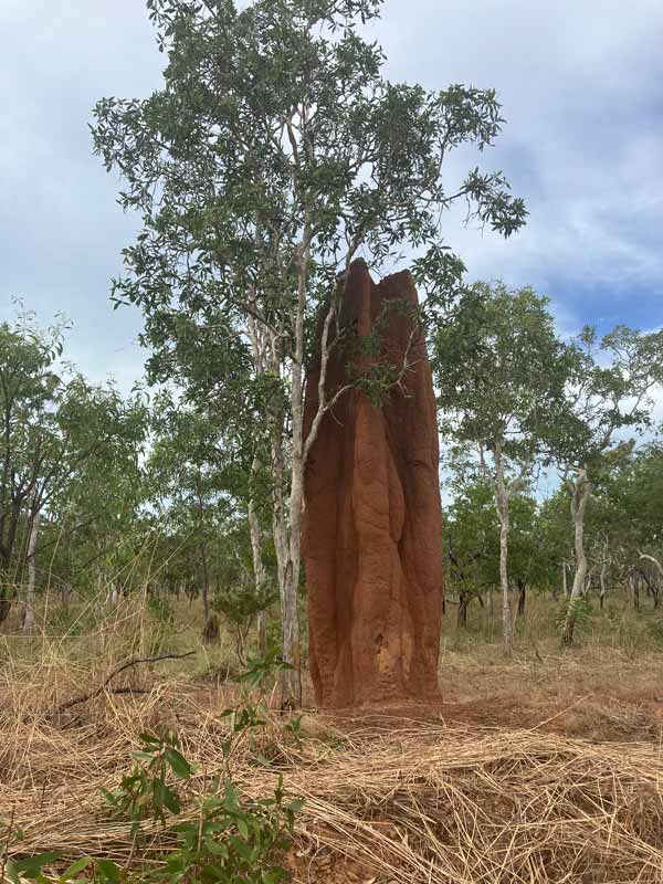 Kristin på studierejse til Kakadu og Arnhem Land.